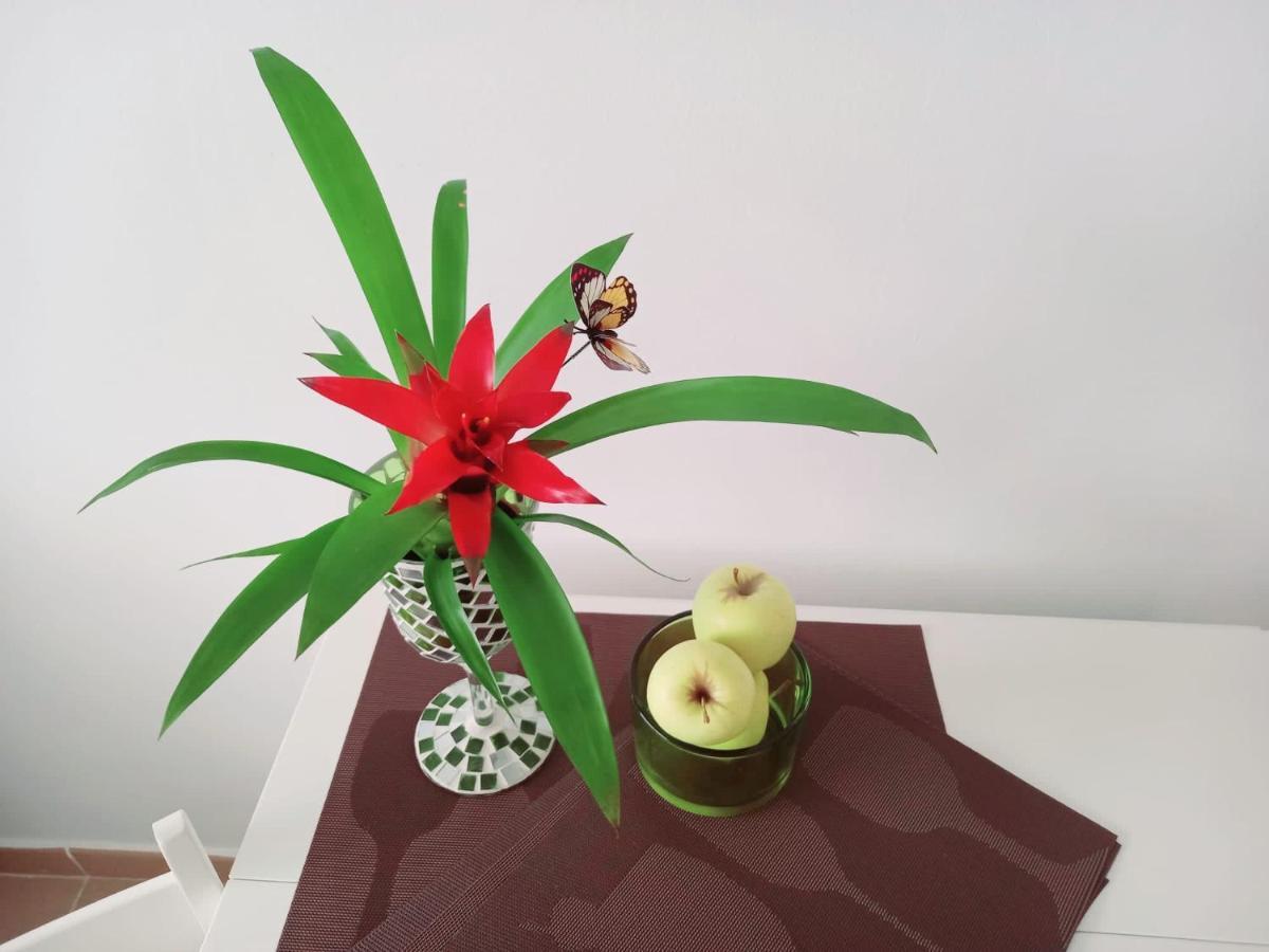 Casablanca Apartment Sardina Luaran gambar